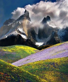 Patagonia Chile, mountain meadow