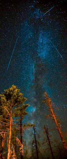 Perseids Meteor Shower. Wow. Just. Wow.