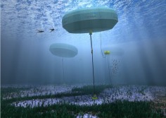 Perth's Carnegie Wave Energy project produces clean power and potable water from the motion of the ocean | Inhabitat - Sustainable Design Innovation, Eco Architecture, Green Building