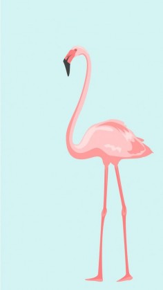 Pink Flamingo. Tap to see more beautiful iPhone Wallpapers! Nature, animals, illustration drawing. - @mobile9