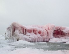 pink icebergs. The color is derived from algae which is growing in the ice and has been effected by the UV rays which the algae produces this reddish pink color.