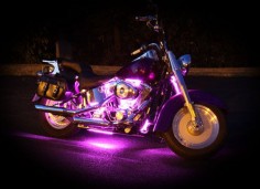 Pink Neon Lights, we used to have a white harley with blue neon lights it was so cool