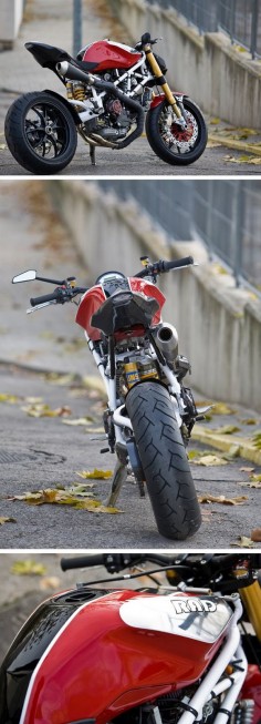 Radical Ducati :: RAD02 Pursang