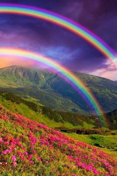 Rainbow ~ Dreamy Nature