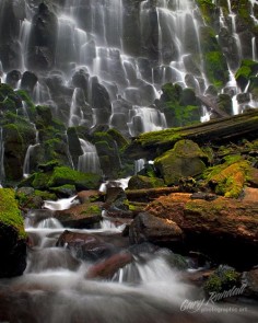 Ramona Falls in the Mt. Hood National Forest, Oregon - photo by Gary Randal