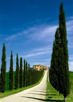 Really beautiful Tuscany, Italy
