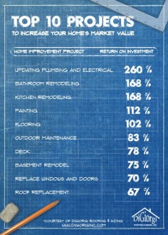 Remodeling Projects Infographic