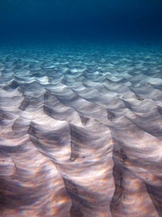 ripples on the ocean floor