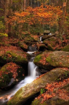 Roaring Fork, Great Smoky Mountains National Park, Tennessee