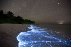 Sea of Stars on Vaadhoo Island in the Maldives | 27 Surreal Places To Visit Before You Die