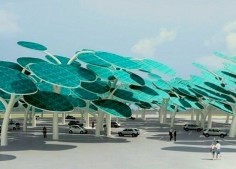 Shade + renewable energy= solar forest.  I think every parking lot should have one, personally.