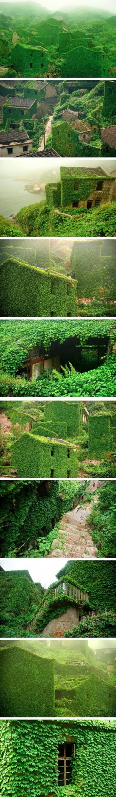 Shengsi, an archipelago of almost 400 islands at the mouth of China’s Yangtze river, holds a secret shrouded in time – an abandoned fishing village being reclaimed by nature. These photos by Tang Yuhong, a creative photographer based in Nanning, take us into this lost village on Goqui island.