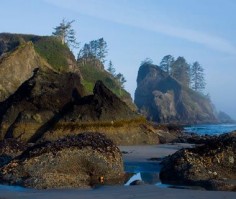 Shi shi Beach, Washington state #USA - Voted second most beautiful beach in the world by Travel Channel