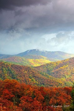 Skyline Drive in Shenandoah National Park, Virginia; photo by Dyoshida
