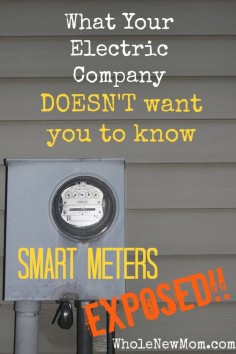 Smart Meters - Safe or Not? Read this before you allow your electric utility to put a Smart Meter on your house--or even if you have a smart meter already.