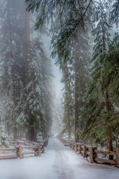 ❥ Snowy country road