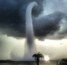 So my aunts bff, who lives in Florida, had a waterspout touch down in his “backyard” today.