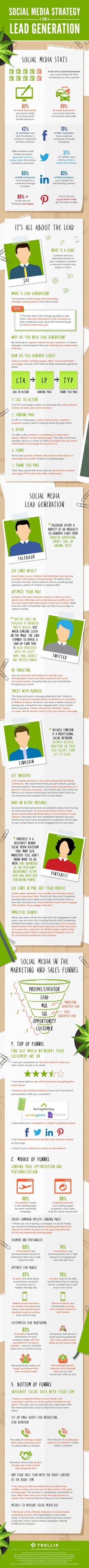 Social Media Marketing Strategy for Lead Generation [Infographic]