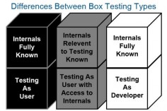 Software Testing Techniques: White Box & Black Box Testing