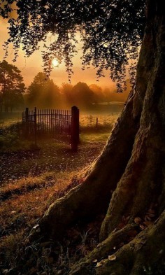Sunrise Gate, Ireland