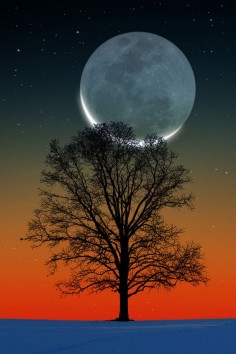 "Sunset Crescet Moon" *-*.
