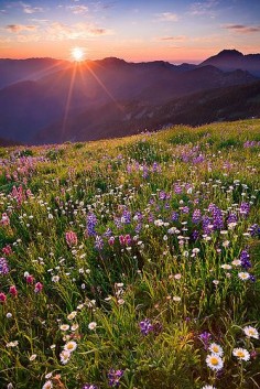 Sunset near Obstruction Point in Olympic National Park, Washington State