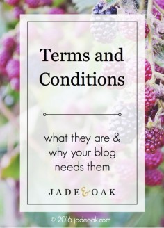 Terms and Conditions - What are they exactly? And do you NEED them on your blog? Learn more from an attorney / blogger on how to get terms and conditions for YOUR blog NOW.