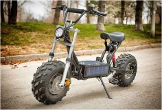 The Beast | Electric Off-road Scooter | Image