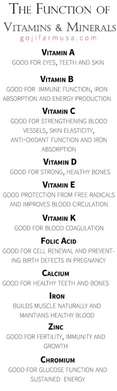 The Function of Vitamins and Minerals | Goji Farm USA
