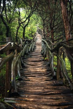 ~~The hard  | wood stairs through the forest in Taichung, Taiwan | by Hanson Mao~~