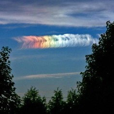*The phenomenon, called a Sun-dog, happens when ice crystals appear in clouds and refract the sun's rays.