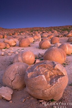 "The Pumpkin Patch" rock formations at Anza Borrego State Park, CA.