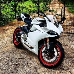 The sexy 899 Panigale in white