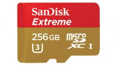 This fingernail-sized 256GB microSD card is the world's fastest | The Verge