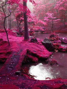 this is one of the most beautiful places I have never seen! Must go! bridges park ireland