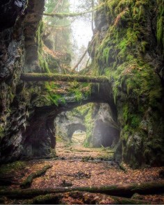 "Tilas Stoll" An old mine in Persberg, Värmland, Sweden | Photography by @jabe147”