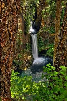 Toketee Falls, Douglas County, Oregon