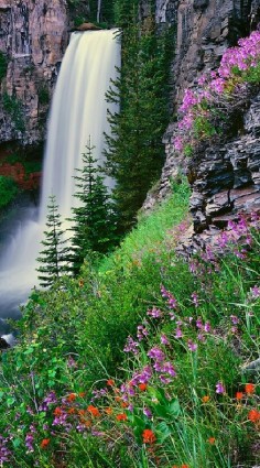 Tumalo Falls in Deschutes National Forest near Bend, Oregon • Mike Putnam Photography