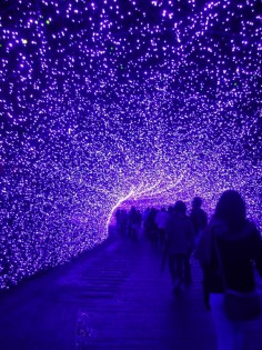 Tunnel of Light:  Nabana-no-Sato Park, Kuwana, Mie, Japan なばなの里