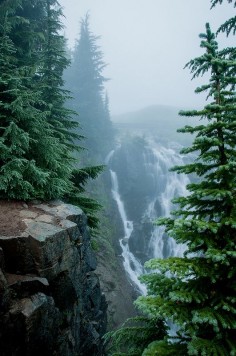United States, Washington - Mount Rainier National Park