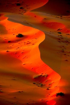 Vibrant orange from the Sahara in #Morocco. #Travel