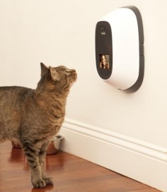 Video Chat And Dispense Treats To Your Pets Remotely: Why yes, yes, I do need this.