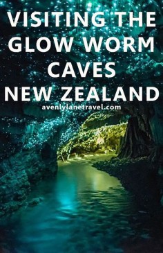 Visiting The Glow Worm Caves In New Zealand - Avenly Lane Travel