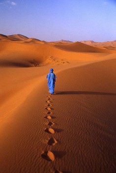 Walking on sahara by mauro zen, (via Flickr)