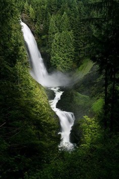 Wallace Falls State Park in Washington State