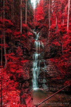~~Waterfall and blazing red autumn forest ~ Austria by Norbi Bedő~~