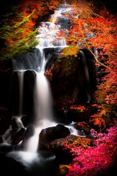 Waterfall, autumn, Japan
