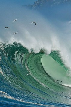 Wave by Kiko Arcas
