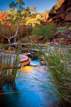 Weano Gorge, Karijini National Park, Western Australia. #travelnewhorizons