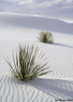 White Sands National Monument, New  this is one fun place to go and walk on the gypsom  and you can see it forever . its a vast area ...go see  repinned www,.